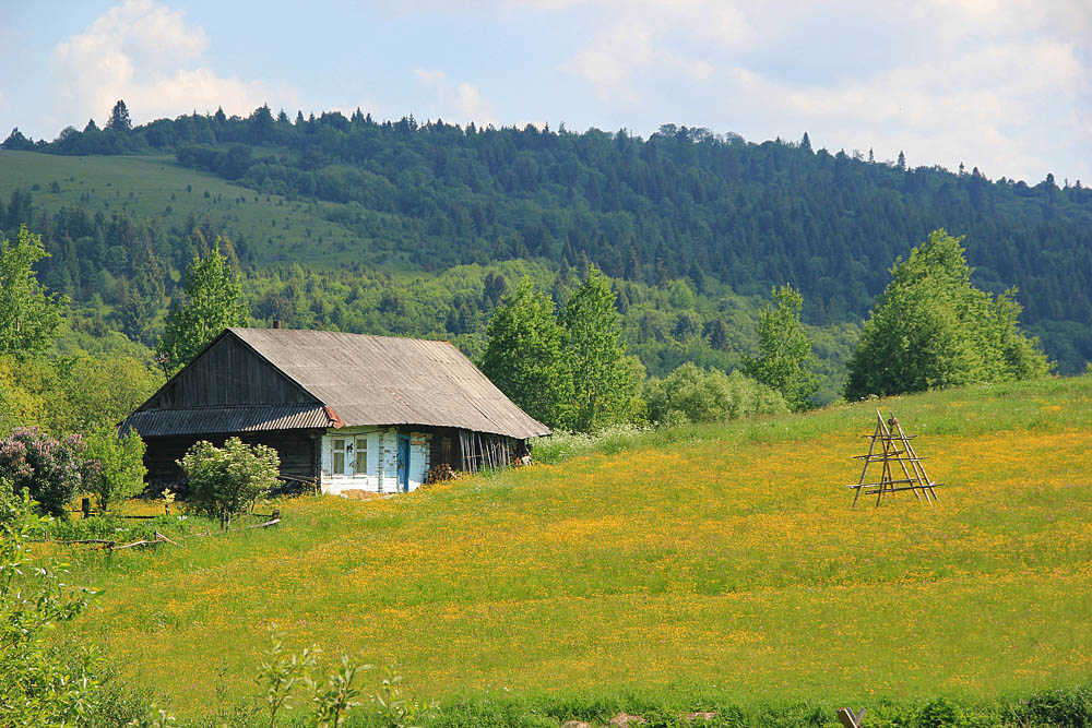 Матків